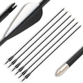 6er Set Pfeile mit Metallspitze